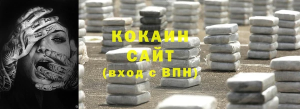 крисы Аркадак