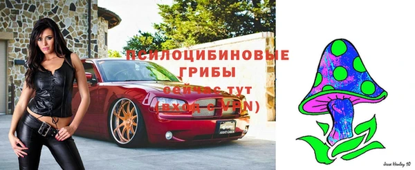 крисы Аркадак